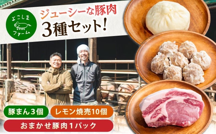 溢れる肉汁！ 惣菜 詰め合わせ 豚まん シュウマイ 産地直送 肉 お肉 おやつ