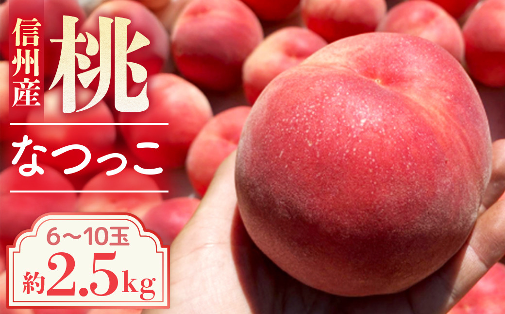 
            【2026年発送先行予約】桃　なつっこ　約2.5kg【6～10玉】※2026年発送先行予約分※　農家直送　もも
          