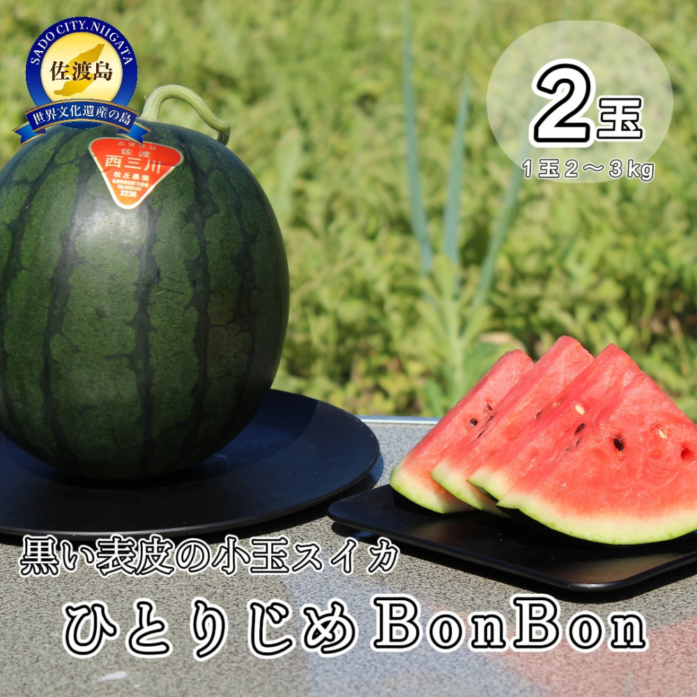 【先行予約】佐渡西三川・松丘農園の名産品小玉スイカ「ひとりじめBonBon]２個（1玉2～3kg）