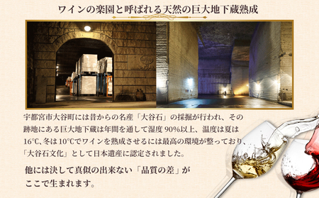 大谷の天然地下蔵で深みを増すワイン 赤ワイン 1本【 赤ワイン お酒 ギフト 栃木県 宇都宮市 】 ※配送不可地域：離島