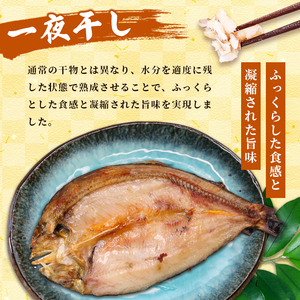 天然鮎の甘露煮と一夜干しのセット 各1パック あゆ 鮎 鮎 あゆ アユ 甘露煮 一夜干し