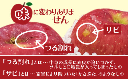 【数量限定・期間限定】陽気な母さんの【訳あり】りんご「ふじ」　10kg　95P3403