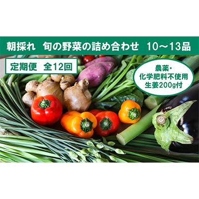 ふるさと納税 香美市 【毎月定期便】旬の野菜と栽培期間中農薬不使用の生姜付き全12回