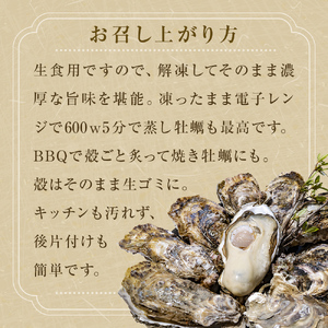 宮城県産 牡蠣 殻付き 生食用 15個（5個入×3袋） 冷凍 カキ 防災減災
