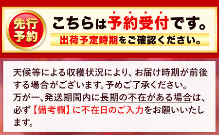 【☆2026年出荷☆】いちじく 福岡県産 ブランド いちじく とよみつひめ 約1.2kg (約300g×4パック) 【配送不可地域あり】【日付指定不可】 《8月中旬-9月末頃出荷(土日祝除く)》 福岡