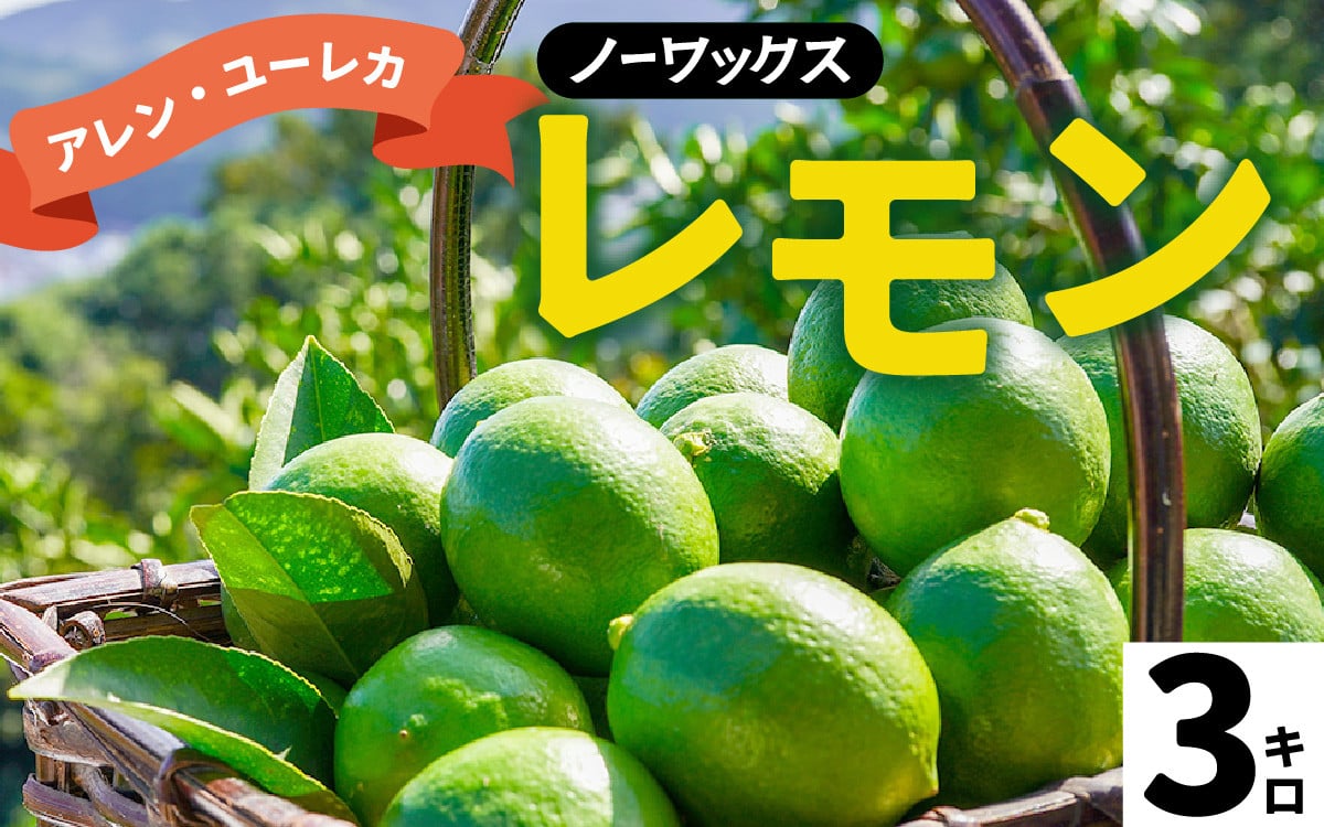 
            【期間限定】 淡路島産 アレン・ユーレカレモン 3kg 国産レモン 淡路島 瀬戸内レモン 檸檬 lemon 柑橘 レモネード  レモンサワー
          