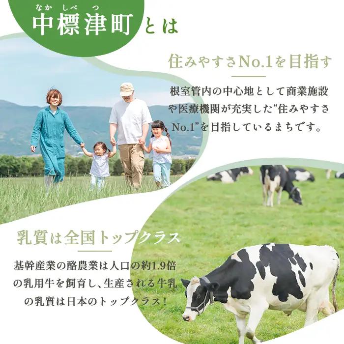 中標津町への応援寄附 1,000円(返礼品なし)【10001】
