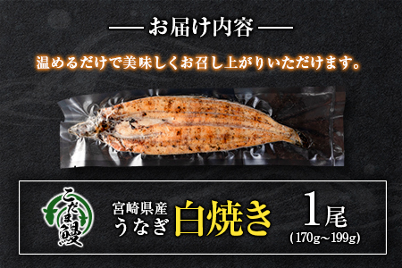 「こだま鰻」宮崎県産 うなぎ白焼き（1尾）170g以上 国産 真空パック【B660】