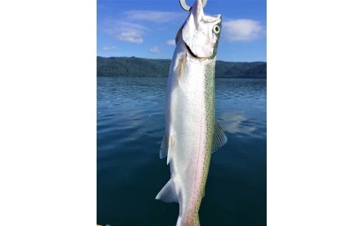 229.ワッカBBB宿泊券（２名様トラウト釣りプラン　夕食バーベキュー）