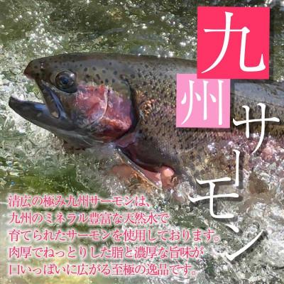 ふるさと納税 須恵町 そのままお召し上がりいただける!極み鯖・極み九州サーモンセット(須恵町) |  | 01