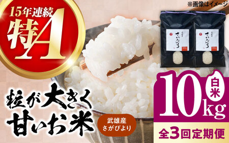 【3回定期便】さがびより 白米 10kg /株式会社 y's company（utsu和ya）[UDX026] 定期