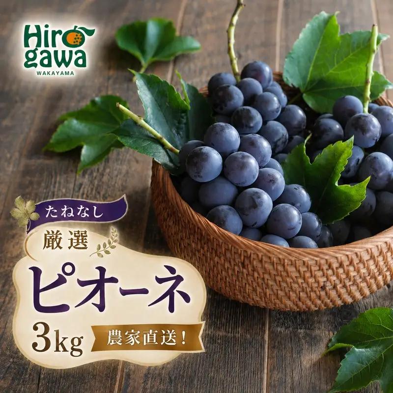 ピオーネ たねなし 3kg 厳選 / ぶどう 種無し 甘い 高級 和歌山 種無しピオーネ ※2026年8月中旬～9月下旬頃順次発送予定 ※北海道・沖縄・離島への配送不可 【tec511-p-3B】