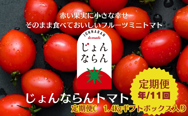 ミニトマト 定期便 全11回 フルーツトマト じょんならん 香川県産 観音寺産 高屋町 約1.4kg ギフトボックス入り 糖度9度以上 甘い 薄皮 真っ赤 冷蔵便 瀬戸内 天空の鳥居 トマト 野菜 サラダ お取り寄せ ギフト 贈り物 香川県 観音寺市