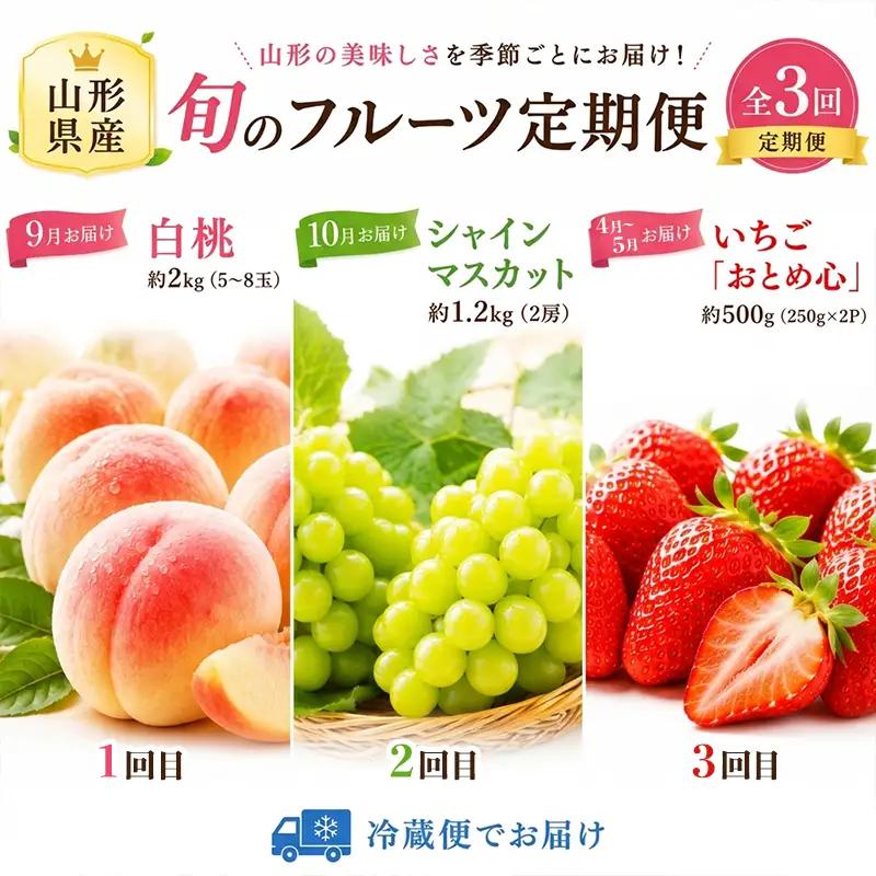 【定期便3回】果樹園の推し果実３選 果樹園が選んだ、旬の自信作 FY26-184