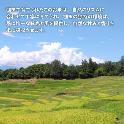 ふるさと納税 淡路市 【定期便】健幸農園の棚田米 5kg×3ヵ月セット　ak29020 |  | 01