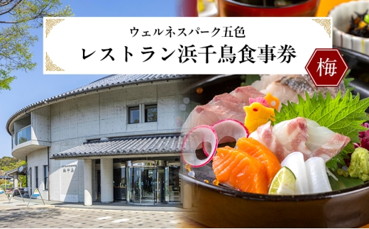 ウェルネスパーク五色 レストラン浜千鳥 食事券 (梅)  3000円分  チケット 淡路牛 玉ねぎ 生しらす 鰆 鯛 海鮮 温浴施設 旅行 淡路島 洲本市 [№5395-0221]