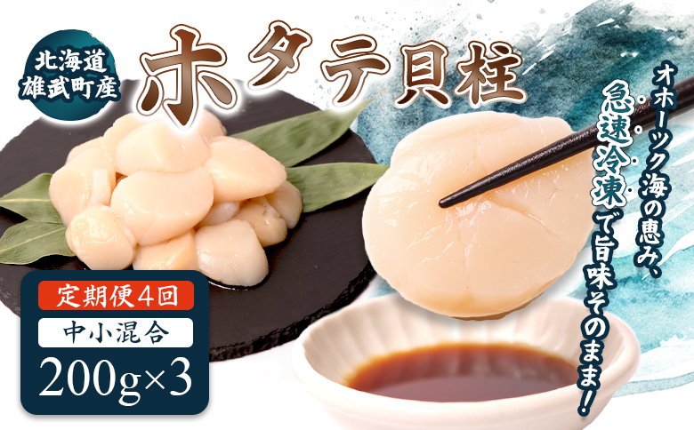 【定期便4回】　北海道雄武町産ほたて貝柱 中小混合 200g×3 (冷凍) 使い切りパック【07138】