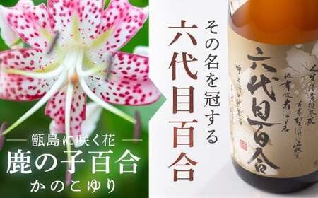 芋焼酎『六代目百合（35度）』720ml （化粧箱入）2本セット 塩田酒造 BS-148