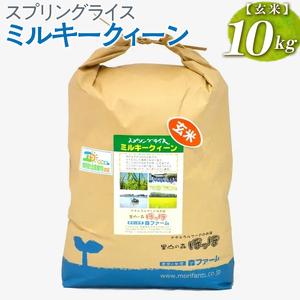 【新米】スプリングライス ミルキークィーン (玄米)10kg ※着日指定不可 | 米 こめ コメ ご飯 玄米 単一米 国産 茨城県産 ※2026年9月～発送 _BI63