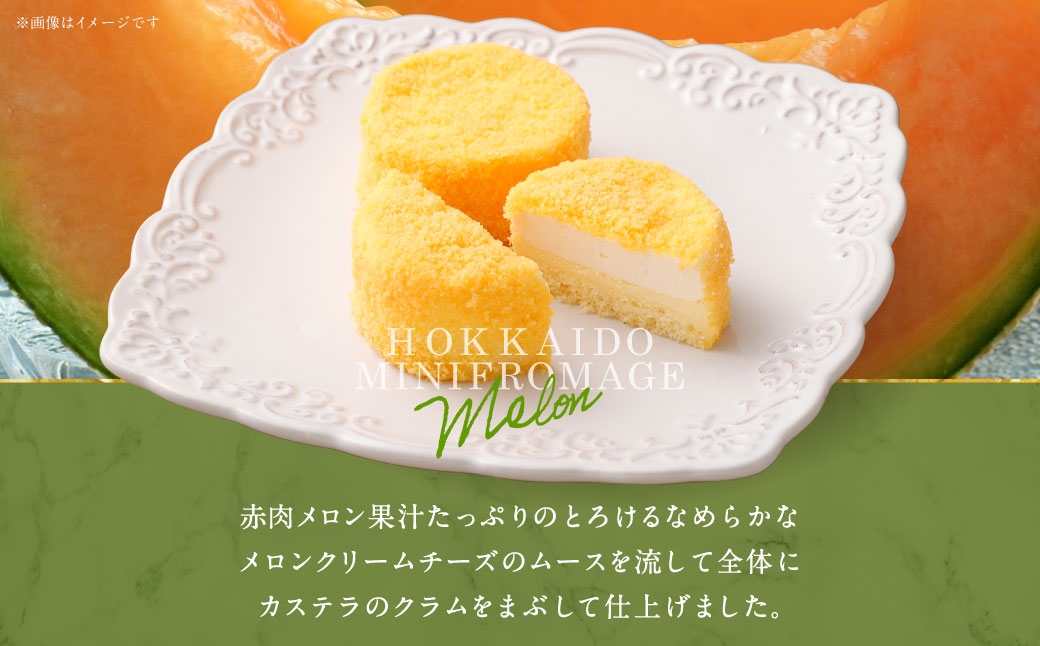 【3回定期便】 北海道ミニフロマージュ （メロン） 約900g×3回 合計約2.7kg