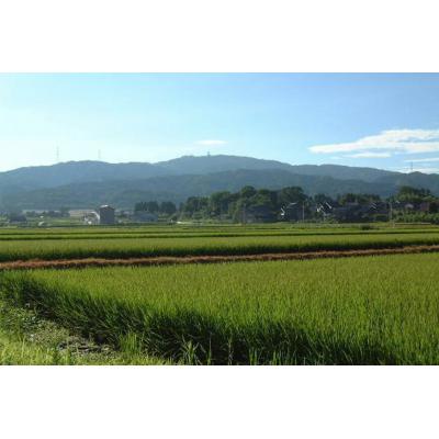 ふるさと納税 宝達志水町 お米 定期便 6回 コシヒカリ「弘宝米」 精米 10kg×2袋 計120kg [38601289] |  | 02