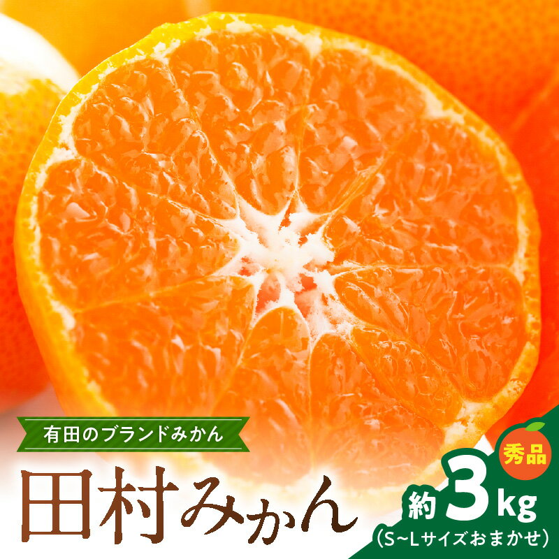 【ふるさと納税】【限定】 田村みかん 約 3kg S ～ L サイズおまかせ 秀品 甘味と酸味のバランス 濃厚 味 有田みかん 田村地区産 ブランド ミカン 高級みかん 贈答用 柑橘 フルーツ 果物 果実 デザート 国産 お取り寄せ 和歌山県 湯浅町 送料無料