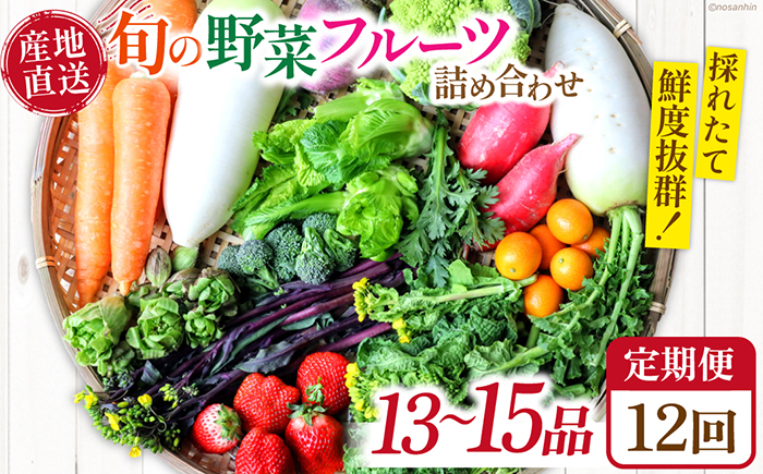 【12回定期便】　「旬の野菜・フルーツ」 詰め合わせ セット（13品～15品）/ 野菜定期便 / 南島原市 /長崎県農産品流通合同会社 [SCB093]