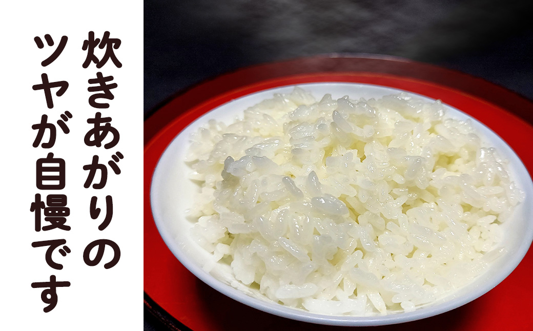 ＜令和8年産予約受付＞銀河のしずく厳選プレミアム（減農薬・減化学肥料）5kg 【1893】