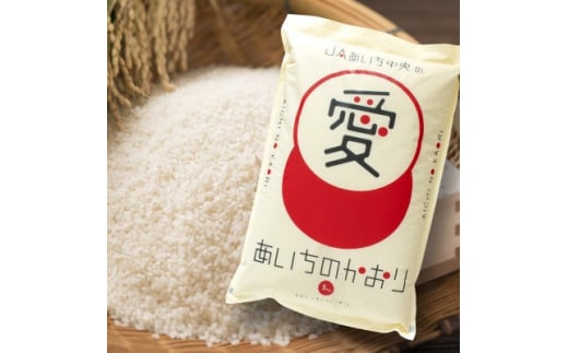 愛知県産あいちのかおり白米5kg【1419820】