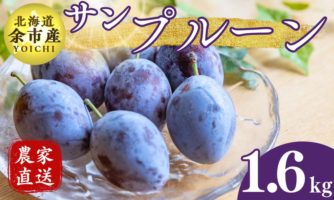 
            【先行受付：2025年10月上旬以降発送】余市産 サンプルーン 松村農園産 1.6kg
          