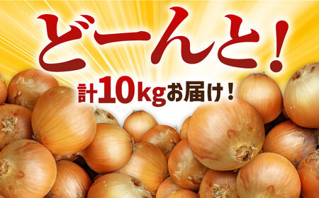 【先行予約 2027年5月～発送】農家直送 玉ねぎ 約10kg / 玉ねぎ [IAO001]