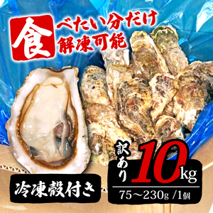 訳あり 岩手県産冷凍殻付き牡蠣 10kg（生食可) 殻付 殻付き 生食 冷凍 殻付き 生食用 訳あり 大きさ不揃い 不揃い 三陸 三陸産 大船渡 訳あり 牡蠣 訳あり カキ 訳あり カキ 訳あり カキ