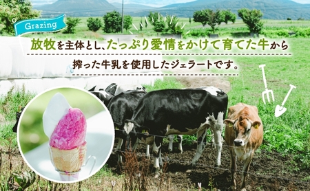北海道 まきばのジェラート 2種 各3個 計6個 ホワイトクリーム しそ シャーベット ジェラート ミルク アイス スイーツ デザート 赤紫蘇 人気 お取り寄せ グルメ ギフト 氷菓 牧場 牛乳 自家