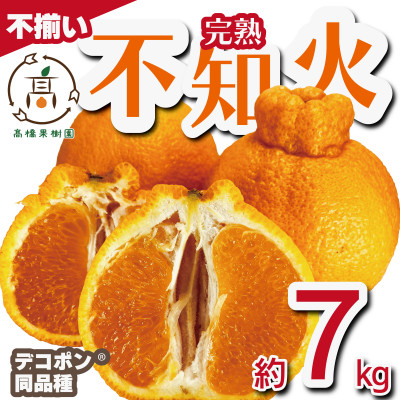 【先行予約!2026年2月上旬から順次発送】 完熟 不知火 約7kg(18玉～35玉) サイズ不揃い【1567821】