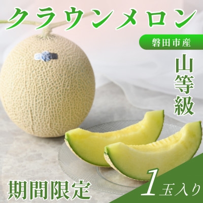 
                  ＜2027年5月中旬より発送＞磐田市 ねらい目 クラウンメロン 山等級 約1.3kg×1個【1640735】
                