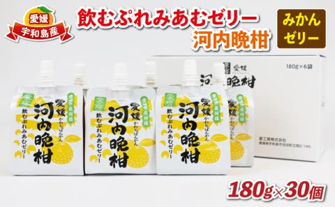 飲むぷれみあむ ゼリー 河内晩柑 180g × 30個 愛工房 果汁 飲料 柑橘 ゼリー 小分け パック 長期保存 備蓄 スイーツ 果物 フルーツ 国産 愛媛 宇和島 J020-034007