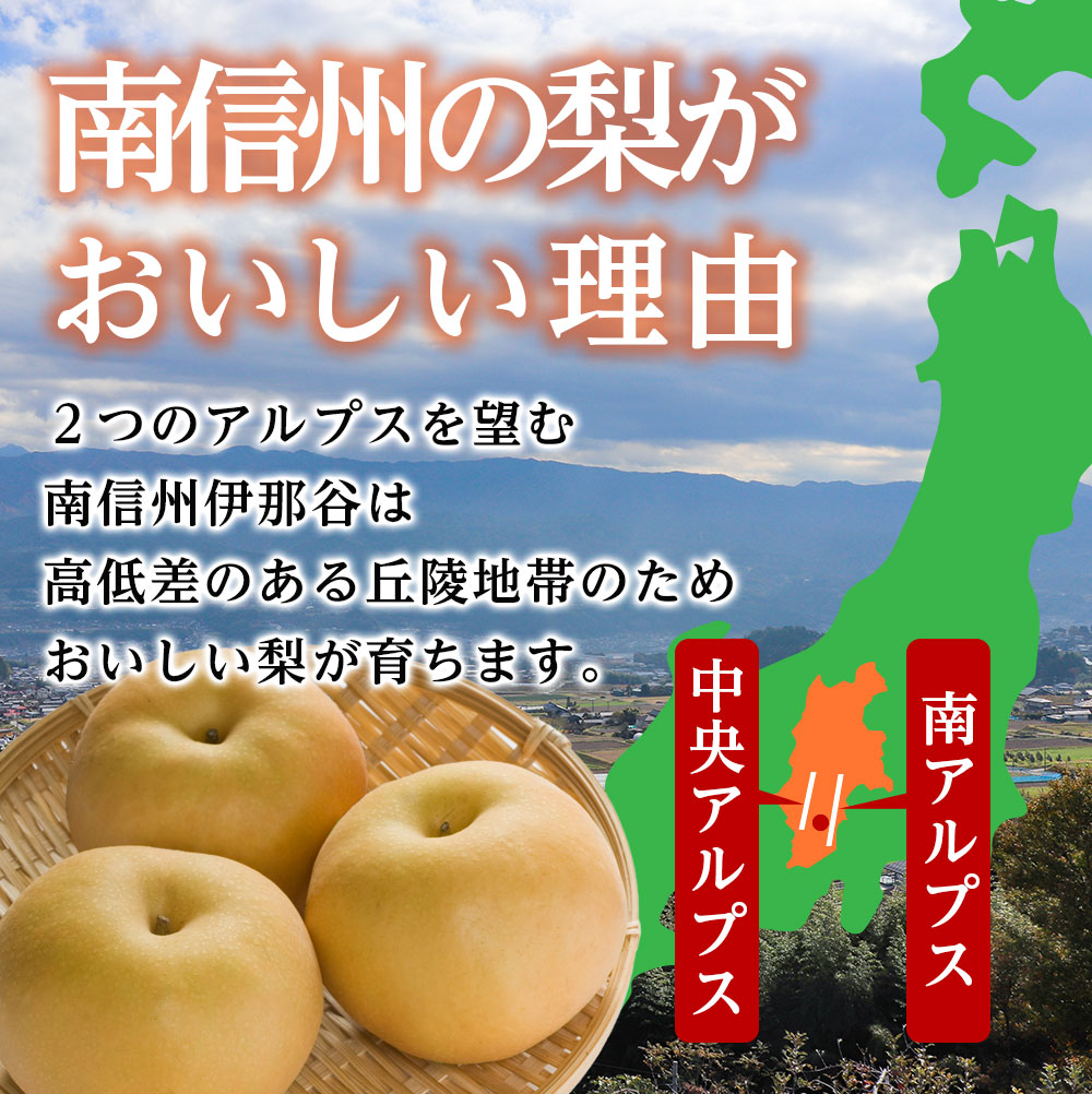 【長野県産】果汁たっぷりで甘～い梨（南水）約5kg 秀品 ＜2026年9月中旬から発送＞ 信州 南信州 高森町 産地直送 果物 くだもの なし ナシ 和梨 旬 旬の果物 旬の梨 なんすい 山下屋荘介