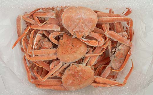 【12月発送】【訳あり】浜茹でオオズワイガニ 2.0kg 詰め込みセット 北海道噴火湾産 ＜道産ネットミツハシ＞ かに カニ 蟹 がに 北海道 森町 ふるさと納税 mr1-0736-5