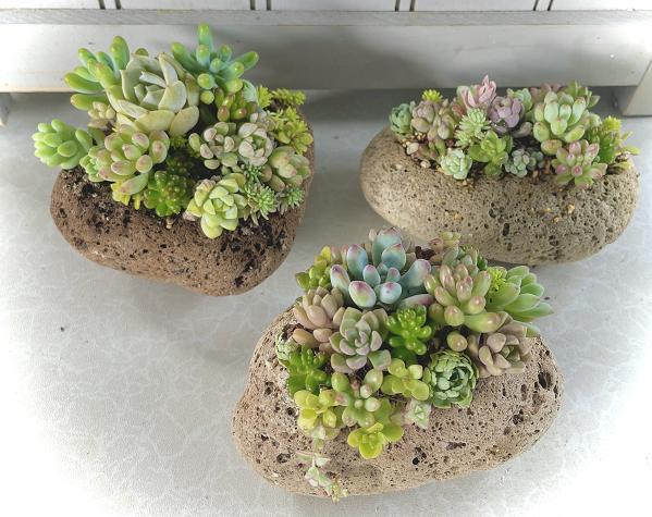 画像はイメージです