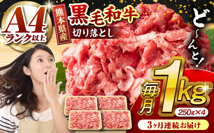 
                  【3回定期便】熊本県産 黒毛和牛 切り落とし 計約1kg (約250g×4P) 牛肉 切り落とし 国産 和牛 ブランド牛 A4ランク以上 A4 A5 小分け 冷凍 肉 牛こま こま肉 肉じゃが 炒め物 野菜炒め 使い方色々 九州産 熊本産 山鹿市 送料無料 定期便【有限会社九州食肉産業】[ZDQ032]
                