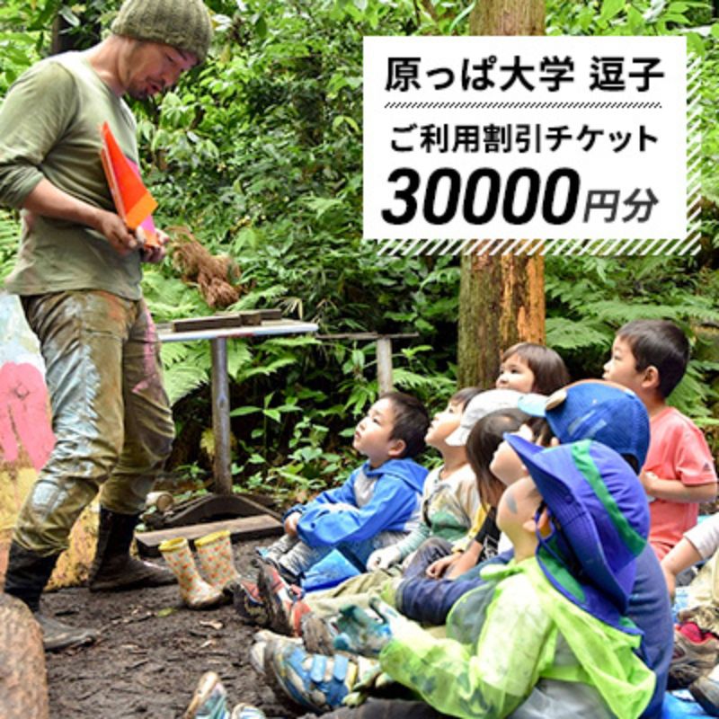 【ふるさと納税】原っぱ大学 割引チケット 30000円分 体験 チケット フィールドワーク レジャー お出かけ スポット 親子体験 リフレッシュ デジタルデトックス リトリート 山 海神奈川県 逗子市　体験チケット・夏休み