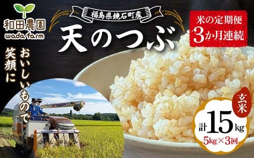 〈先行予約 2025年産米〉【米の定期便】福島県鏡石町産 和田農園「天のつぶ」玄米5kg 3か月連続 F6Q-203