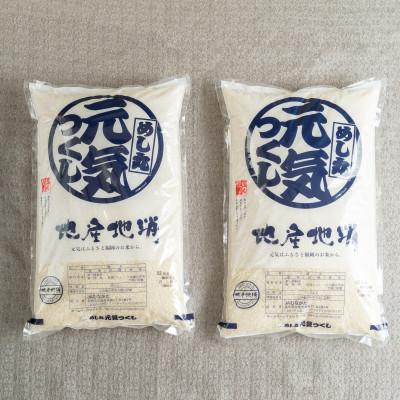 ふるさと納税 福岡市 福岡県限定のお米　元気つくし10kg(福岡市) DX16 | 