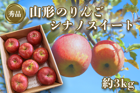 【2026年発送】「秀品」山形のりんご（シナノスイート）約3kg_H166(R8)