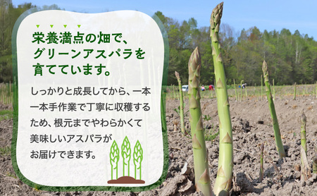 数量限定！【2026年分先行予約】 アスパラガス 専門農家 の 特選 グリーン アスパラ 800g  L サイズ 原農園 アスパラ あすぱら 野菜 北海道 上富良野町