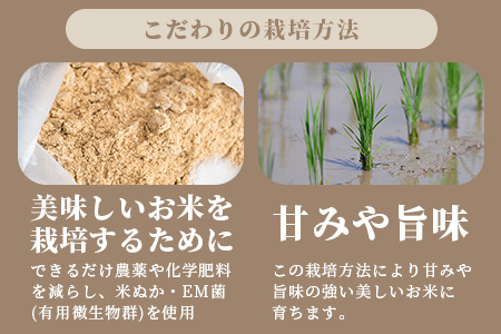 【日本一早い新米】令和５年産 石垣島産 星の美しゃ（ほしのかいしゃ）20kg（5kg×4袋）【産地直送 沖縄県 石垣市 石垣島 米】MK-5