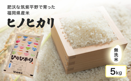 ヒノヒカリ 無洗米 筑紫平野産 福岡県産 ヒノヒカリ【5kg】