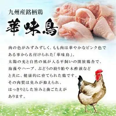 博多華味鳥 水たきセット 3～4人前 H-A1（柚子胡椒付）【水炊き 鍋 鶏肉 お肉 とりにく 有名店 食品 福岡名物 人気 おすすめ 送料無料 はなみどり ギフト 福岡県 筑前町 AS002】