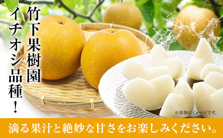 梨 甘太梨 和梨 なし フルーツ 果物 旬 秋 約3.5~ 4kg 長洲町産 竹下果樹園《9月上旬-9月下旬頃出荷》熊本県 長洲町 果物 なし かんた---sn_ctkknt_ab9_24_13000