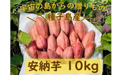 種子島産安納芋１０kg【安納芋 安納いも 焼き芋 焼芋 やきいも さつまいも スイーツ デザート おやつ 熟成 蜜 しっとり 甘い  鹿児島県 種子島 中種子町  種子島安納 N133】